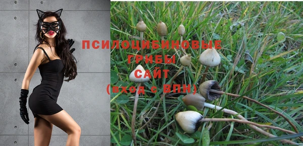 хмурый Алзамай