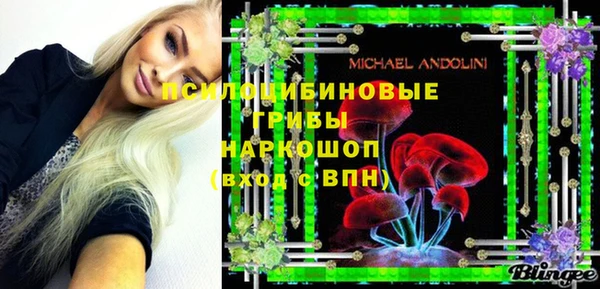хмурый Алзамай