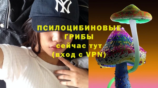мяу мяу мука Алексин
