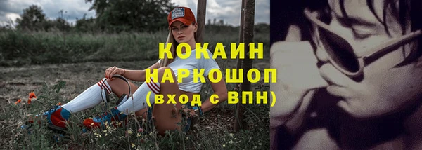 хмурый Алзамай
