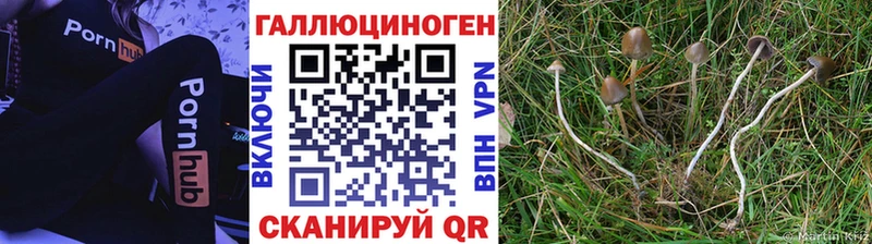 Псилоцибиновые грибы мицелий Ржев