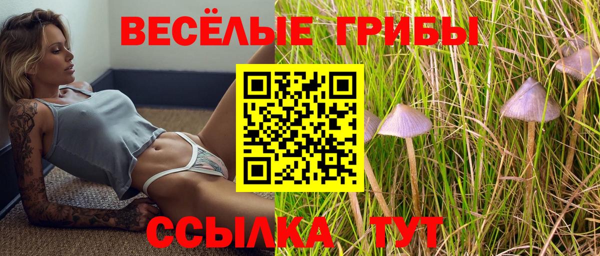 Псилоцибиновые грибы ЛСД  Вход с VPN  продажа наркотиков  Ржев 